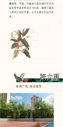 每一片茶叶的浮沉,都是一种缘定,不空不昧